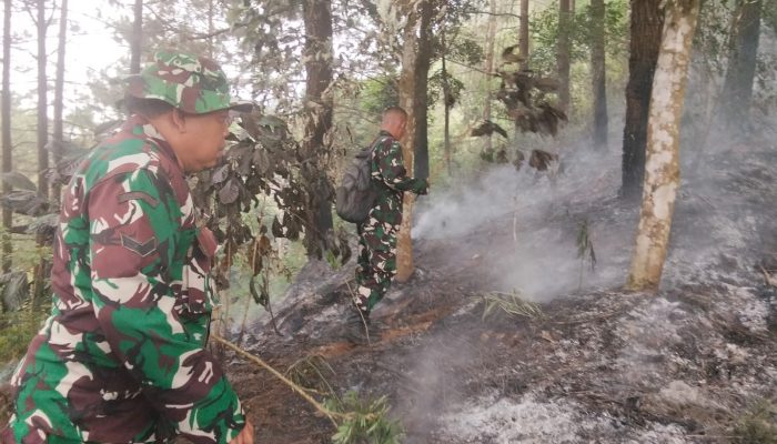 Kebakaran Lahan TNGC di Blok Kiara Sayana Kuningan, Diduga Dipicu Puntung Rokok