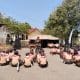 Kapten Inf Suherdi memberikan materi wawasan kebangsaan dan bela negara kepada siswa SDN Padarama Kecamatan Ciawigebang Kabupaten Kuningan.