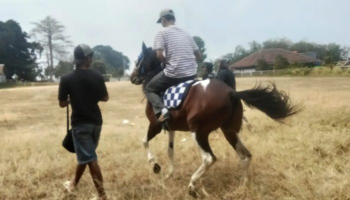 Bukan Sekadar Hobi, Berkuda Jadi Aktivitas Positif bagi Pemuda Kuningan