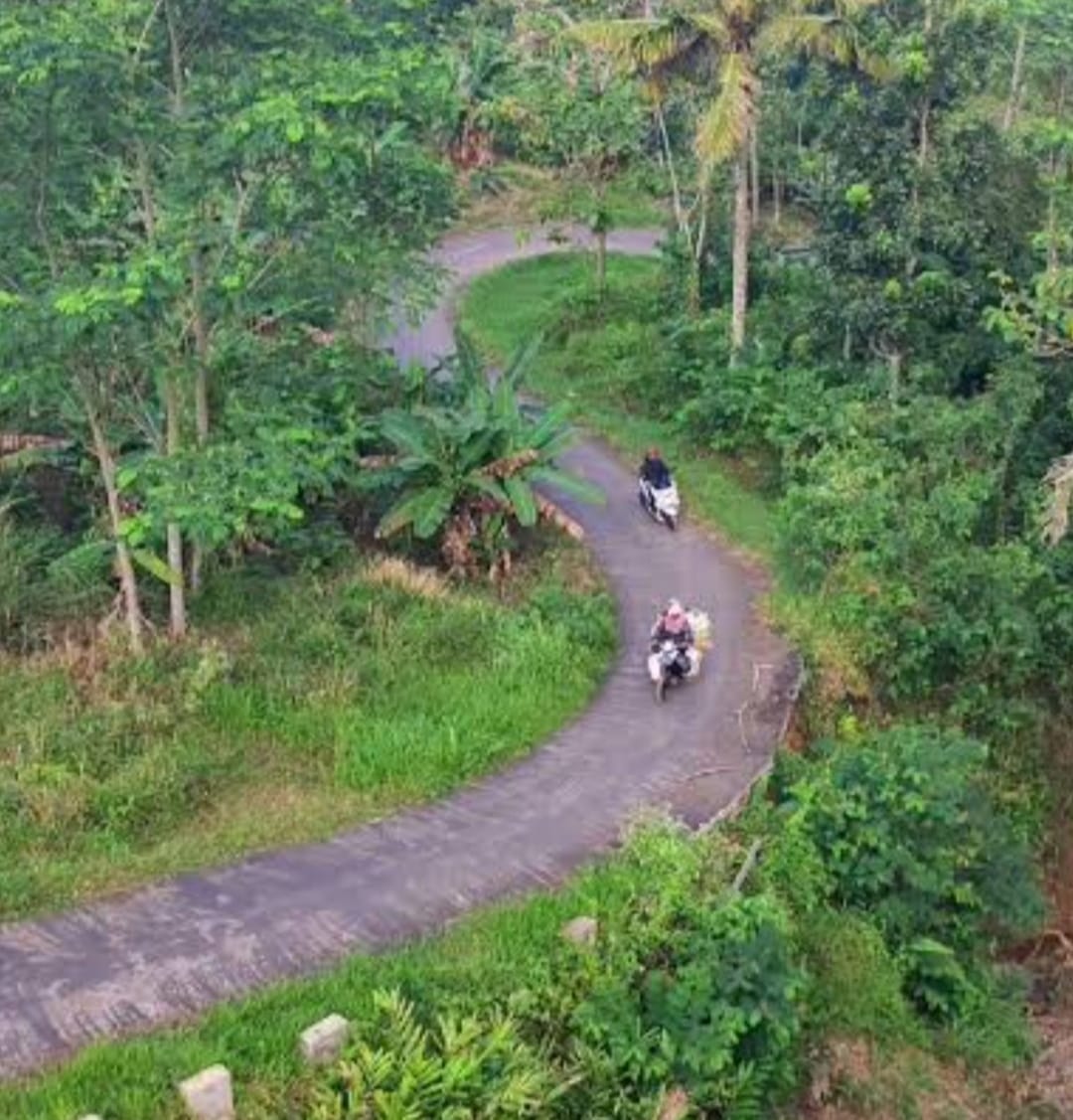 Panorama jalur menuju Gunung Aci Subang Kuningan dengan pemandangan perbukitan dan pepohonan hijau