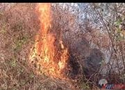 Karhutla Melanda Kawasan TNGC di Kuningan, Sekitar 5 Hektare Lahan Terbakar