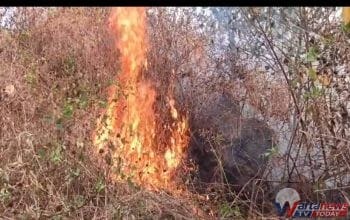 Kebakaran hutan TNGC Kuningan di Blok Cileutik