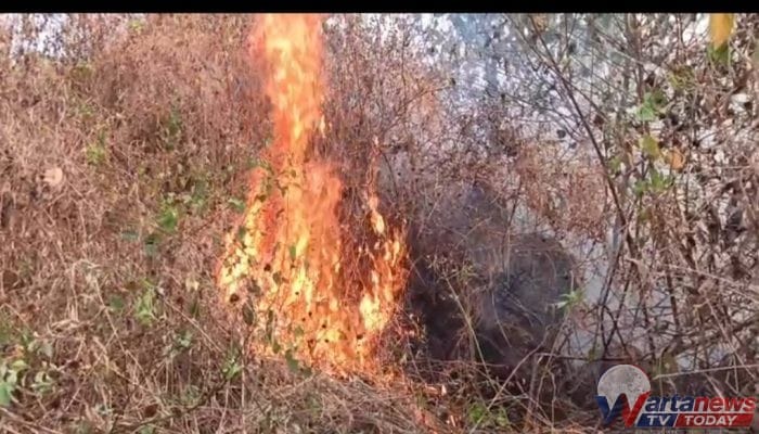 Karhutla Melanda Kawasan TNGC di Kuningan, Sekitar 5 Hektare Lahan Terbakar