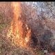 Kebakaran hutan TNGC Kuningan di Blok Cileutik
