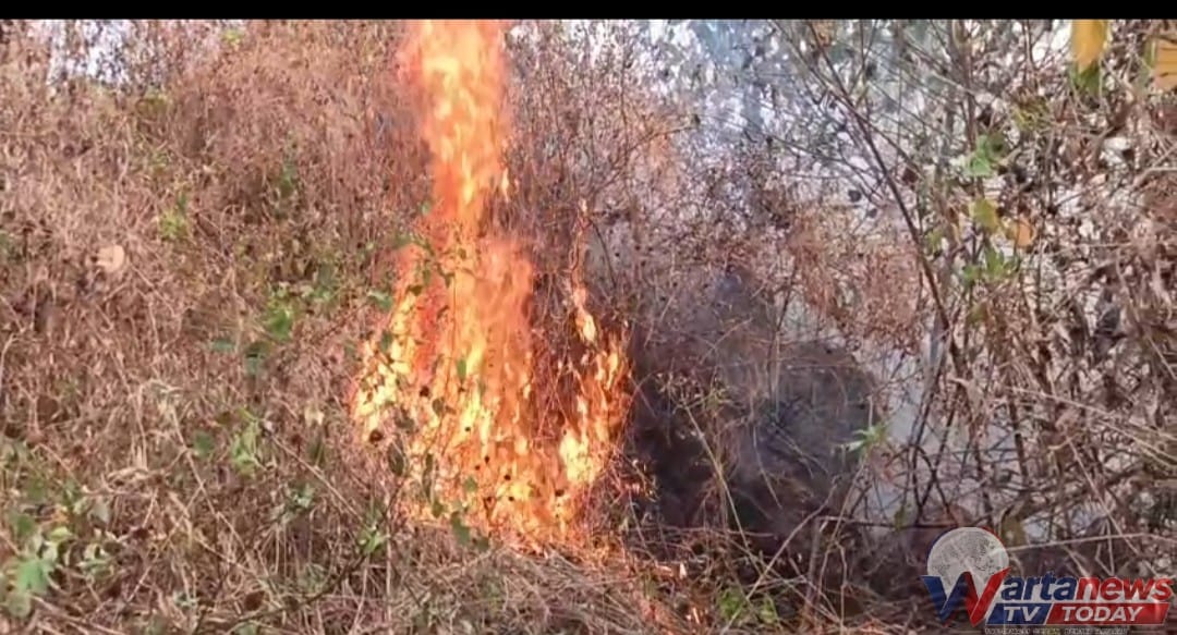 Kebakaran hutan TNGC Kuningan di Blok Cileutik