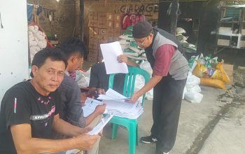 Produktivitas Ubi Jalar Melonjak, Demplot Bakti Taskin Kuningan Capai 45 Ton per Hektare