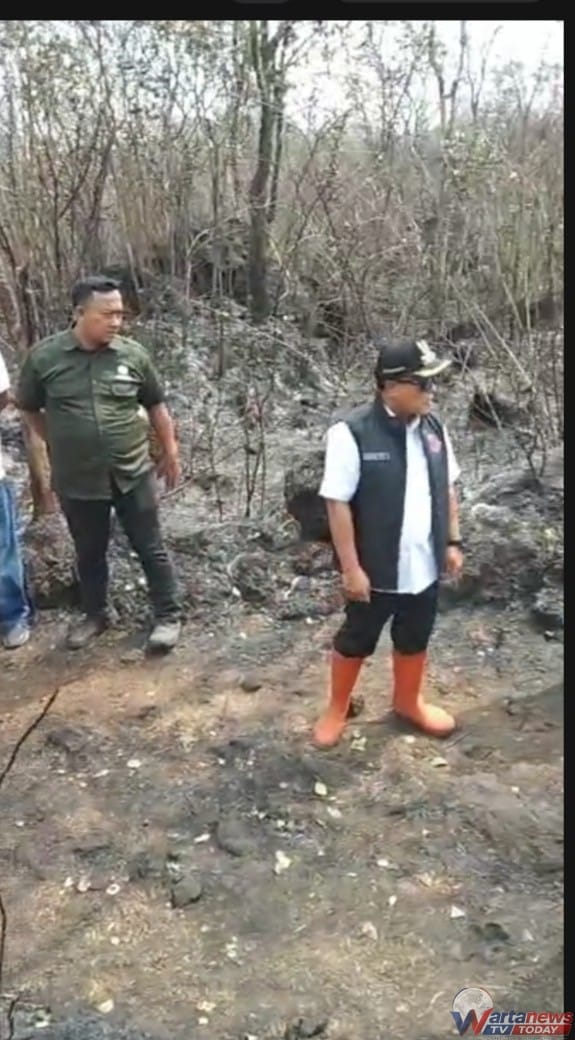 Bupati Kuningan memantau kebakaran hutan Pasawahan Singkup seluas 40 hektare