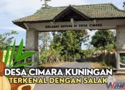 Kebun salak pondoh Desa Cimara Kecamatan Pasawahan Kabupaten Kuningan