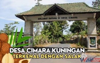 Kebun salak pondoh Desa Cimara Kecamatan Pasawahan Kabupaten Kuningan