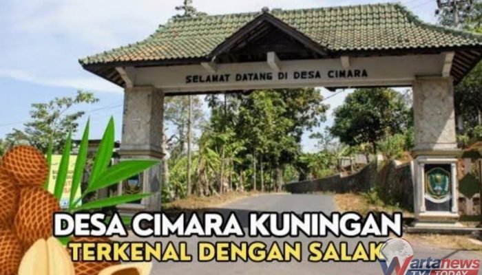 Desa Cimara,Pasawahan Kuningan ,Sentra Penghasil Salak di Kabupaten Kuningan