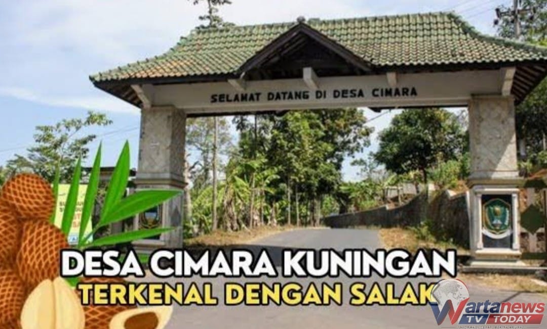 Kebun salak pondoh Desa Cimara Kecamatan Pasawahan Kabupaten Kuningan