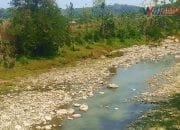 Kemarau Panjang, Sungai Cisanggarung di Ciwaru Surut Drastis