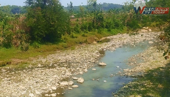 Kemarau Panjang, Sungai Cisanggarung di Ciwaru Surut Drastis