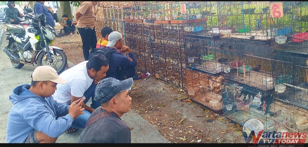 Bewok alias Sueb sosok pecinta burung di Kuningan