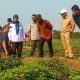 Monitoring kawasan pengembangan ubi jalar seluas 295 hektare di Kabupaten Kuningan