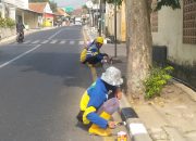 Pasukan Kuning Revitalisasi Trotoar, Percantik Wajah Kabupaten Kuningan