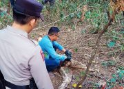 Lokasi penemuan kerangka manusia di Sukamukti Jalaksana Kuningan