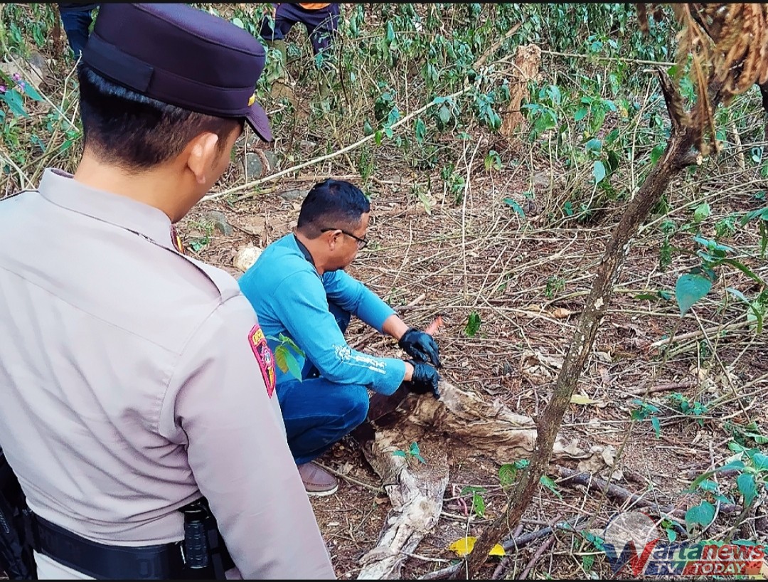 Lokasi penemuan kerangka manusia di Sukamukti Jalaksana Kuningan