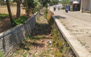 Dampak Kemarau, Sungai Mulai Mengering di Kuningan