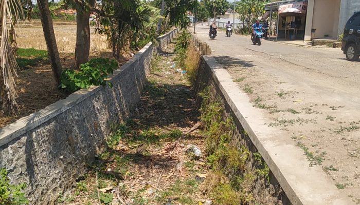 Dampak Kemarau, Sungai Mulai Mengering di Kuningan